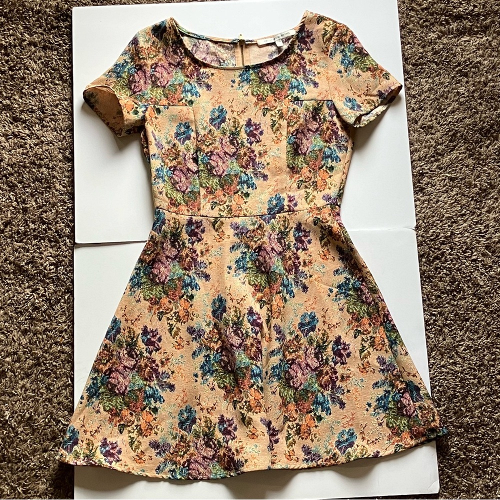 Collective Concepts Tapestry Mini Dress Zipper Back XS Lydia Martin
